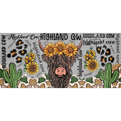 Cow-NIU 2549